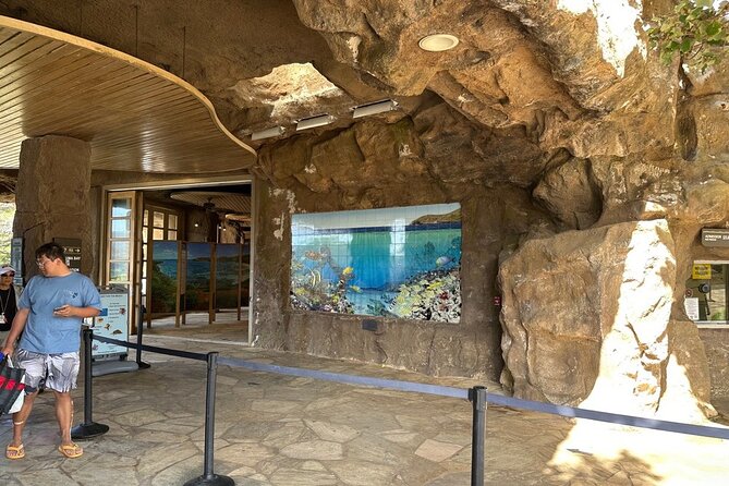 Hanauma Bay Snorkel Lesson - The guide can shape your first ocean experience