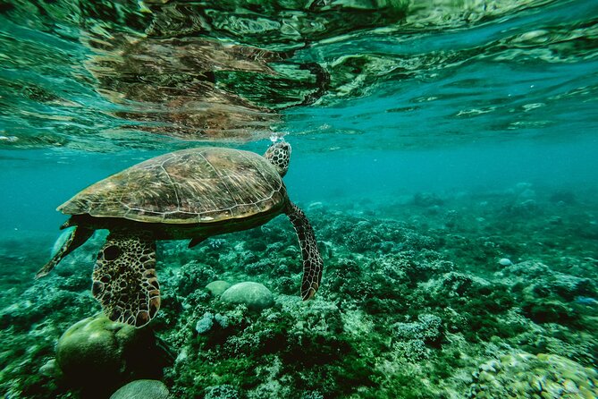 Hanauma Bay Snorkel - The entrance video explains how to protect Hanauma Bay