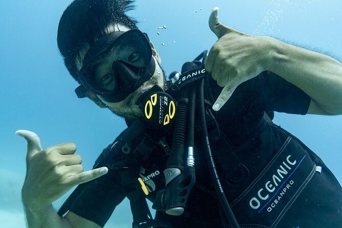 Hawaii DISCOVER Beginner + Certified 2 Tank Shallow Scuba Diving - The second session and certified divers