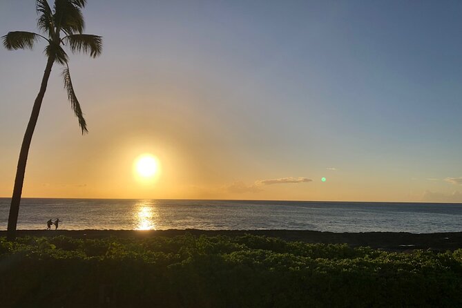 Hawaii's Best Private Build-Your-Tour Charter Service - What the driver does, and what the driver may not do