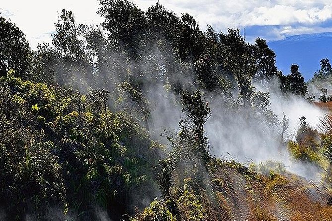 Hawaii Volcanoes National Park Experience from Oahu - Manuka State Wayside Park and a short forest walk