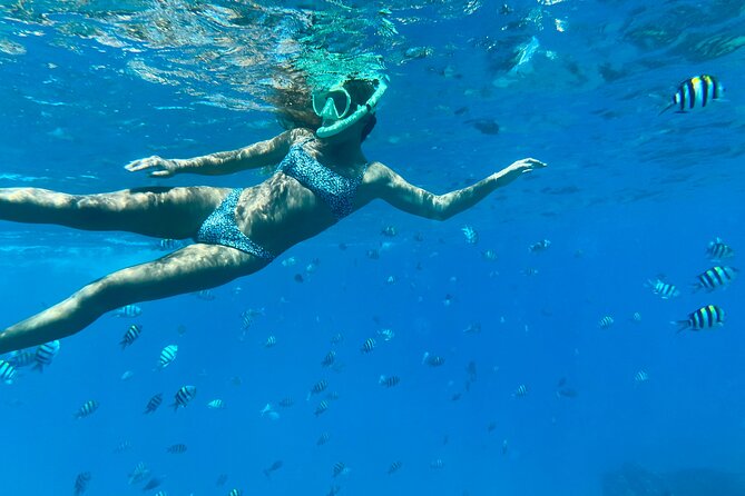 Hawaiian Culture & Snorkel Adventure with Photo/Videos - Key points to know before you book