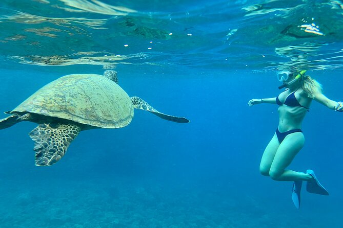 Hawaiian Culture & Snorkel Adventure with Photo/Videos - A small-group start at 92-301 Farrington Highway