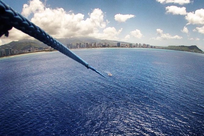 Hawaiian Parasail Since 1977 - Wildlife and the hour on the water