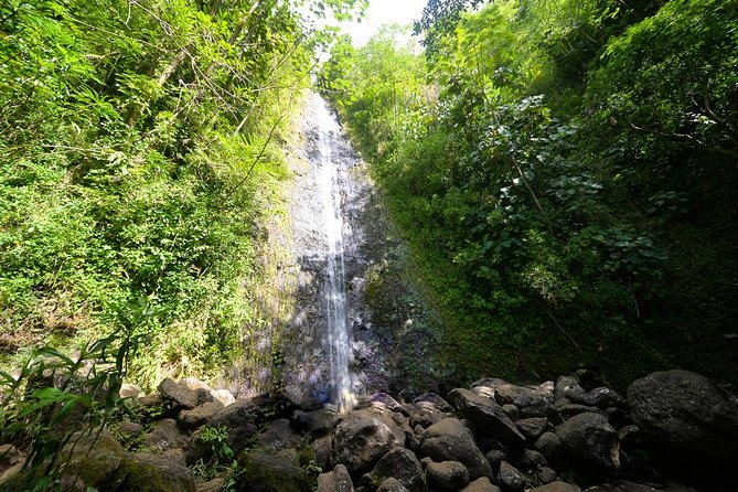 Hawaiian Waterfall Hike - Key points at a glance