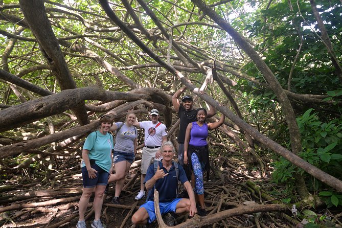 Hawaiian Waterfall Hike - Entering Manoa’s rainforest at 7:30 am