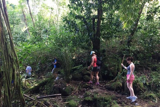 Hawaiian Waterfall Hike - Guides Mike, Daniel, and the human side of the hike