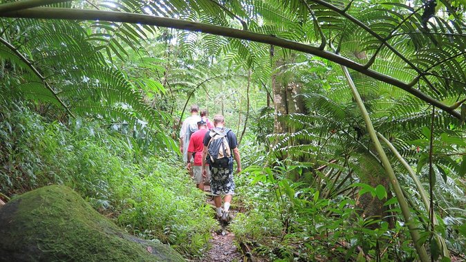 Hawaiian Waterfall Hike - Booking advice and cancellation terms