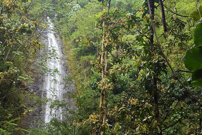 Hawaiian Waterfall Hike - What the two-mile trail feels like