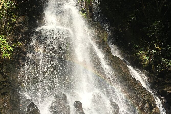 Hidden Hawaii Tours - Who will get the most from this outing