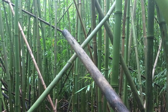 Hidden Hawaii Tours - A strong choice after bad weather disrupts your plans