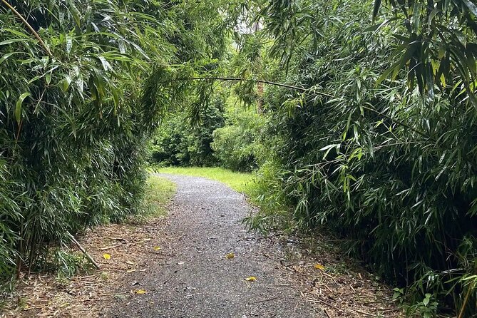 Hike to a Tropical Waterfall - pick up included - A muddy route to a tropical waterfall
