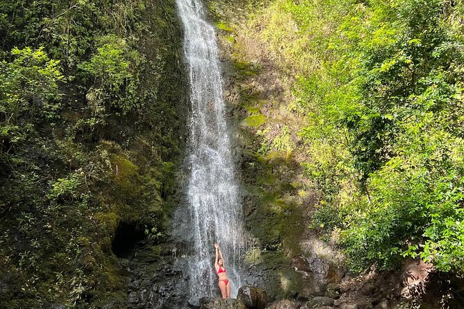 Hike to a Tropical Waterfall - pick up included - What the three-hour outing feels like