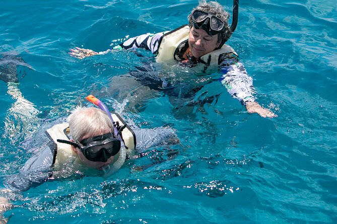 Hilton Hawaiian Village Turtle Snorkel with Optional Lunch - Morning lunch and the value of the price