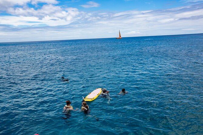 Hilton Hawaiian Village Turtle Snorkel with Optional Lunch - The snorkeling setup and comfort questions