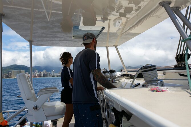 Hilton Hawaiian Village Turtle Snorkel with Optional Lunch - Seasonal whale watching from December through March