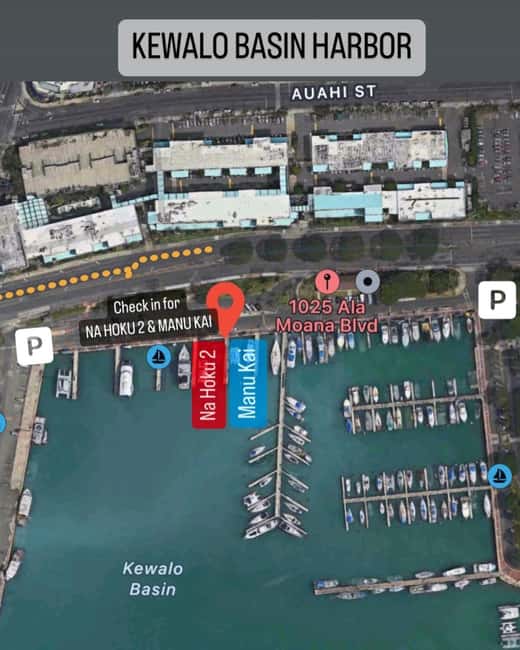Honolulu: 1-Hour Friday Night Fireworks Cruise with Drinks - Drinks, music, and the social mood