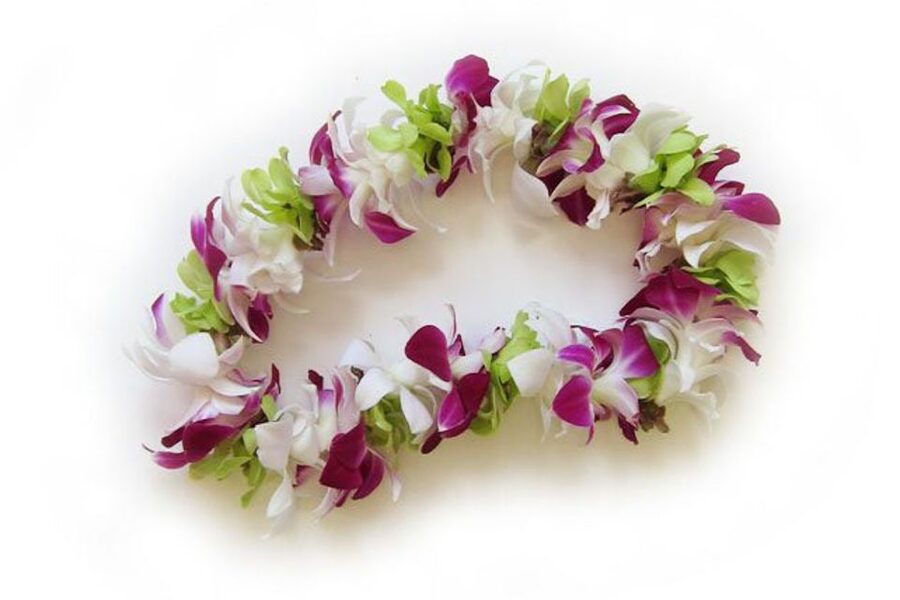 Honolulu Airport Custom Lei Greeting - Choose Your Lei - Photos, birthdays, and first visits