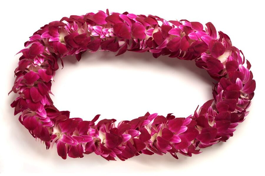 Honolulu Airport Custom Lei Greeting - Choose Your Lei - Freshness and keeping the lei looking good
