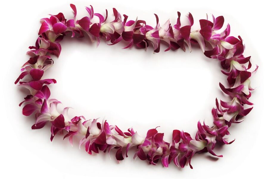 Honolulu Airport Custom Lei Greeting - Choose Your Lei - Is $40 a fair price?