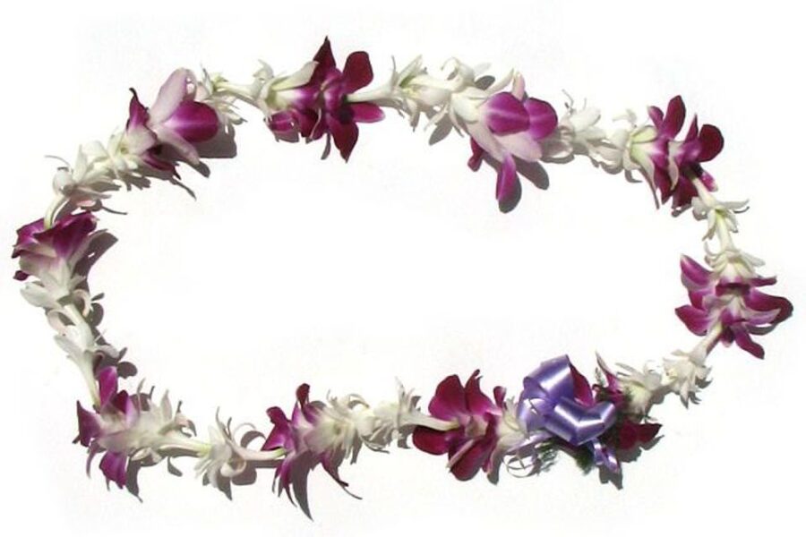 Honolulu Airport Custom Lei Greeting - Choose Your Lei - Choosing the right lei for your group