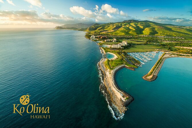 Honolulu Airport & Ko Olina Hotels Private Transfer by Minivan (up to 5 people) - Meeting your driver at Honolulu Airport