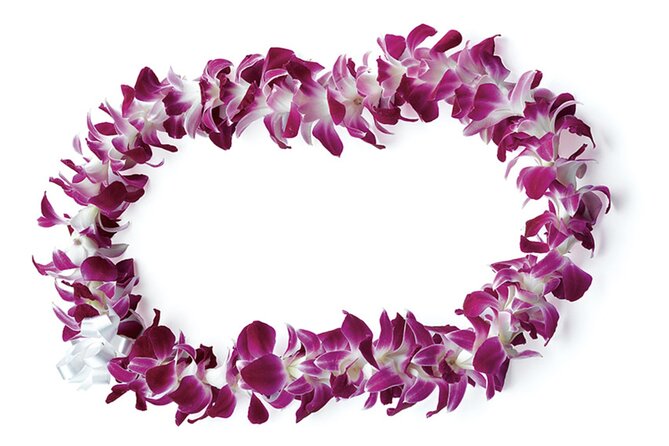 Honolulu Airport: Waikiki Private Transfer With Lei Greeting - Meeting your driver at Honolulu Airport