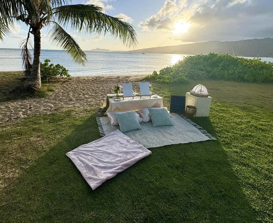 Honolulu: Beachside Luxury Picnic & Paint - Painting beside the ocean instead of inside a studio