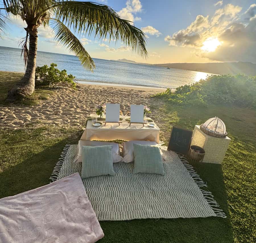 Honolulu: Beachside Luxury Picnic & Paint - The host makes this beginner-friendly