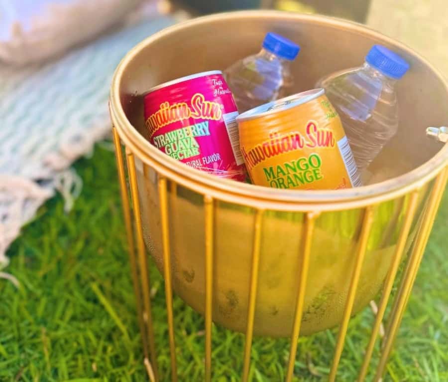 Honolulu: Beachside Luxury Picnic & Paint - What happens during the two-hour session
