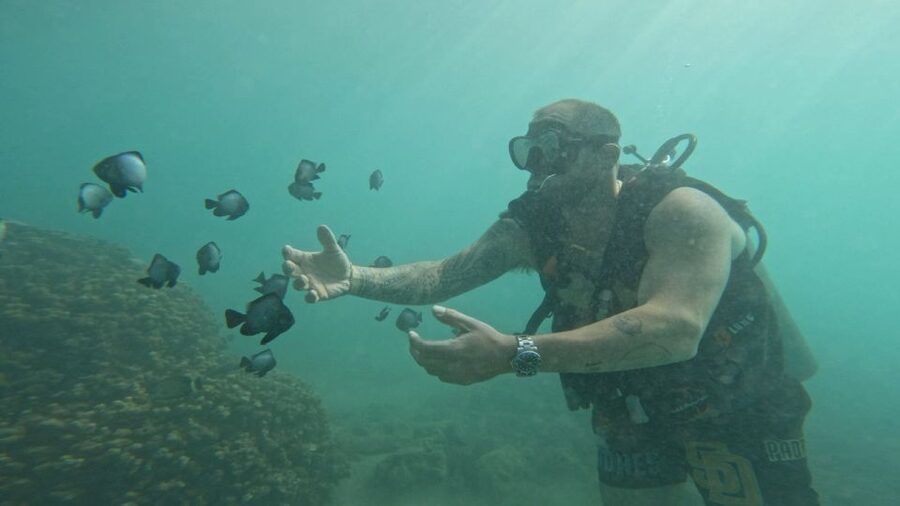 Honolulu: Beginner Scuba Diving Tour With Free Videos - Getting to the lagoon from Waikiki