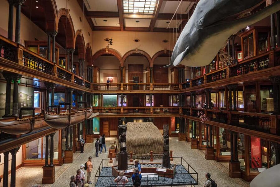 Honolulu: Bishop Museum General Admission Ticket - Start with Hawaiian and Pacific Hall