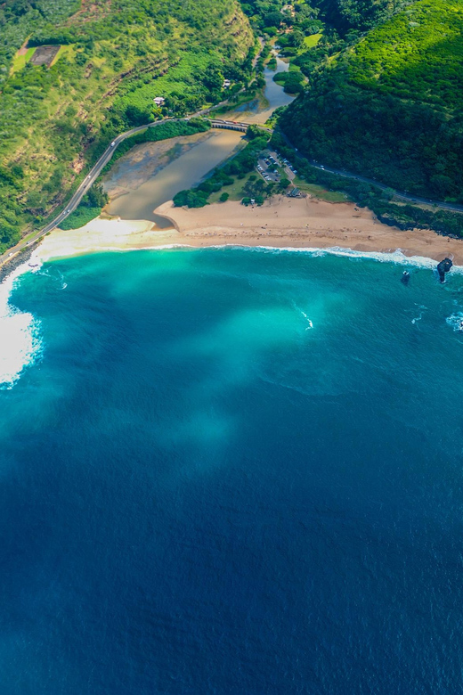 Honolulu: Blue Skies of Oahu Helicopter Tour - The coastline, Dole Pineapple Plantation, and the full island picture