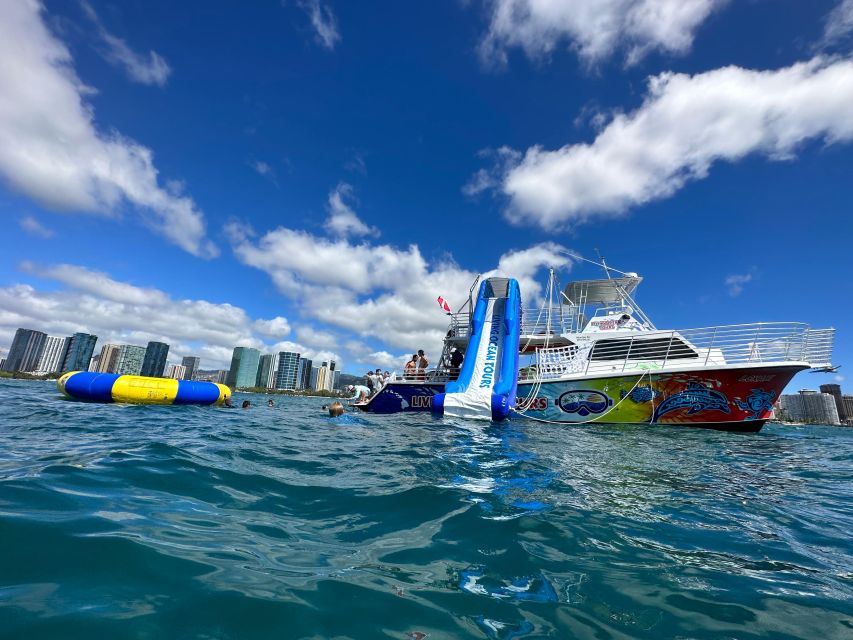 Honolulu: Deluxe Waikiki Snorkel and Wildlife Cruise - Key points at a glance
