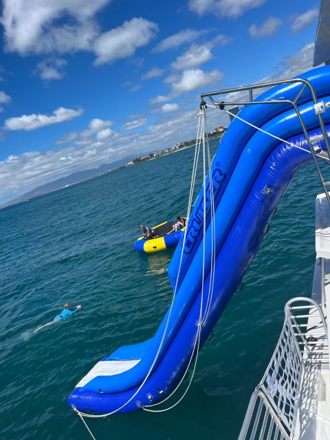 Honolulu: Deluxe Waikiki Snorkel and Wildlife Cruise - How the $89 price holds up