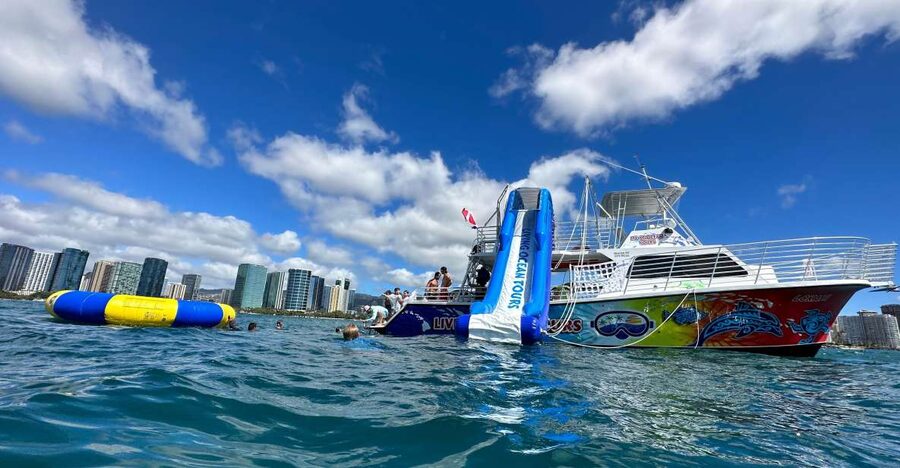 Honolulu: Deluxe Waikiki Snorkel and Wildlife Cruise - Should you book the Deluxe Waikiki Snorkel and Wildlife Cruise?