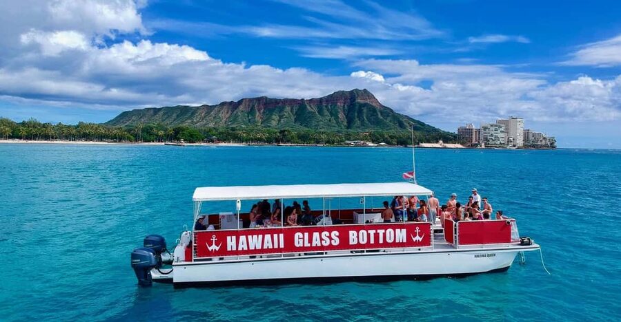 Honolulu: Glass Bottom Boat Tour along Oahu's South Shore - What you may see below the boat