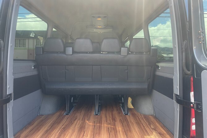 Honolulu Harbor Cruise Terminal Transfer by Luxury Vehicle - Who should book this Honolulu transfer?