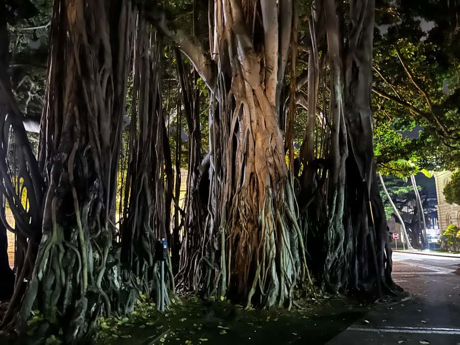 Honolulu Haunts: Ghosts and Spirits Walking Tour - Why the outdoor format matters