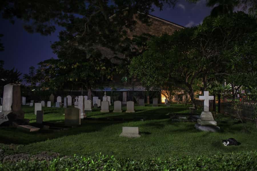 Honolulu Haunts: Ghosts and Spirits Walking Tour - Is $27 a fair price?