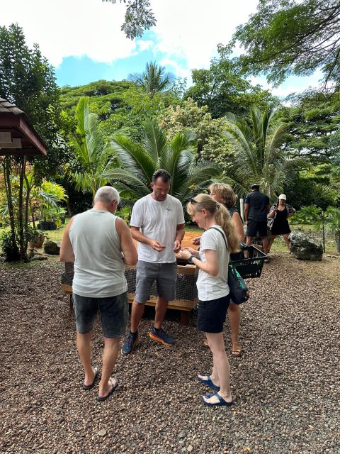 Honolulu: Highlights of Oahu Small Group Tour - Makapuʻu and the chance to see winter whales