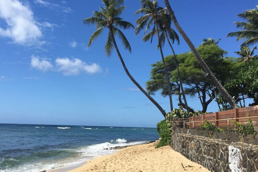 Honolulu: Highlights of Oahu Small Group Tour - Haleiwa, Dole Plantation, and the return to Honolulu