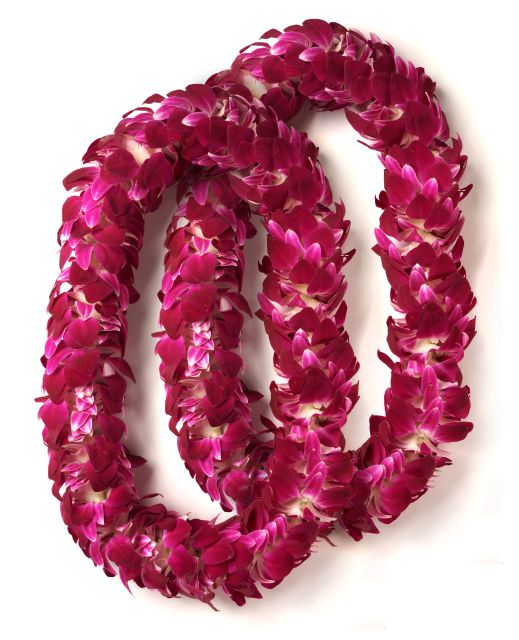 Honolulu Honeymoon Airport Lei Greeting - Photos and the memory you take home