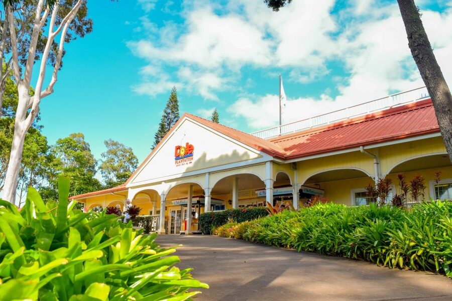 Honolulu: Oahu Island Full-Day Guided Tour by Bus with Lunch - The North Shore’s famous surf coast