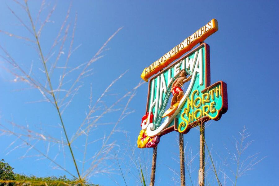 Honolulu: Oahu Island Full-Day Guided Tour by Bus with Lunch - Waimea Valley and the waterfall swim