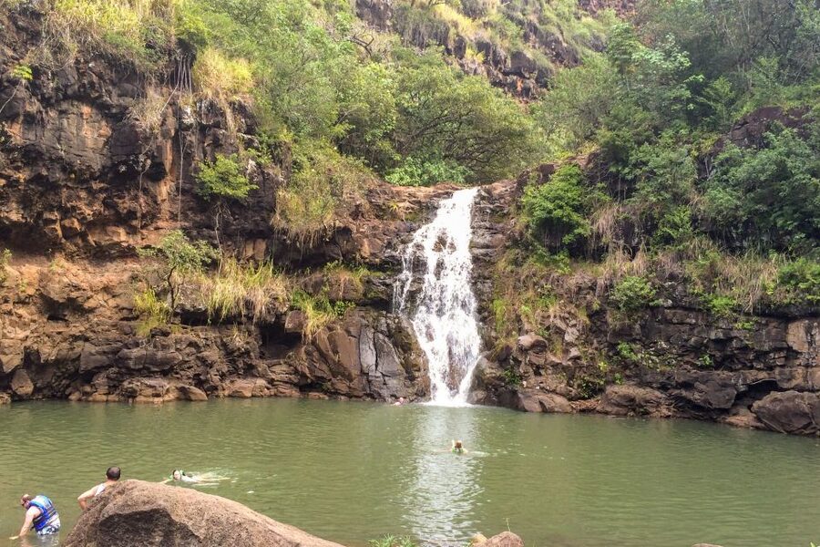 Honolulu: Oahu Island Full-Day Guided Tour by Bus with Lunch - Lunch, local food, and the value of a planned meal