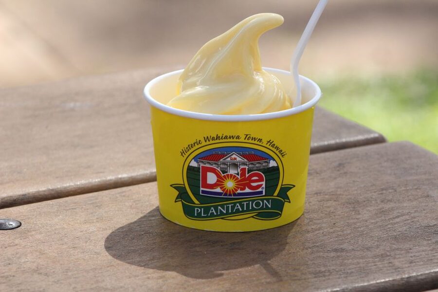 Honolulu: Oahu Sights and Bites Circle Island Foodie Tour - The guide can shape the entire experience