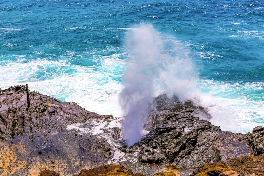 Honolulu: Oahu Sights and Bites Circle Island Foodie Tour - Lava, surf, and the Hanauma Bay overlook