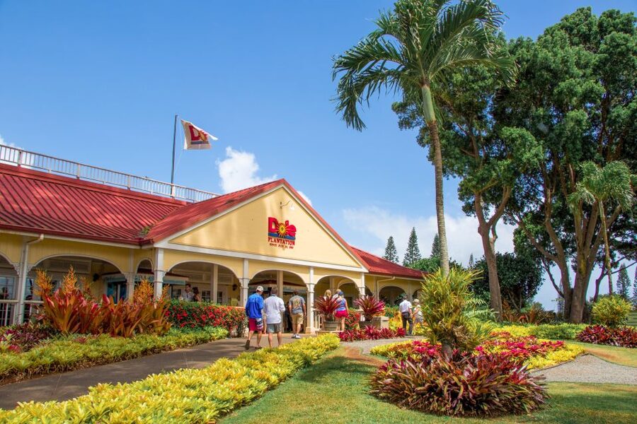 Honolulu: Oahu Sights and Bites Circle Island Foodie Tour - Dole Plantation, with limited time for exploring
