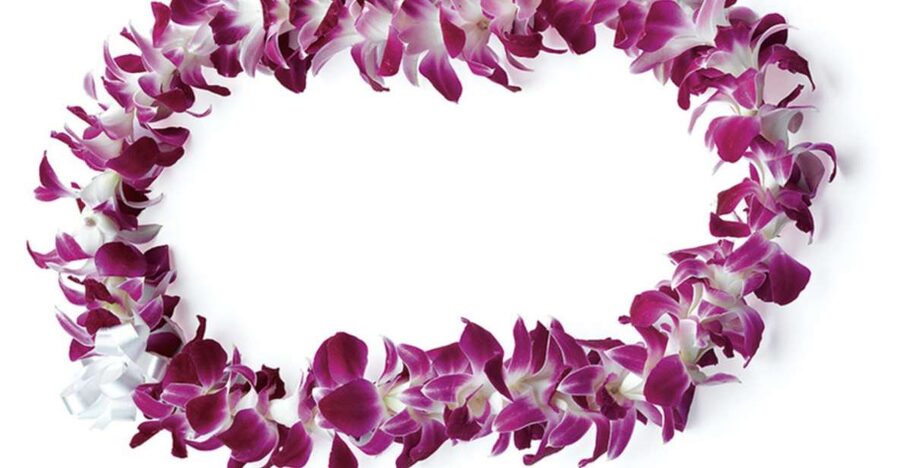 Honolulu: Private Airport Transfer with Arrival Lei Greeting - Key points to know before booking